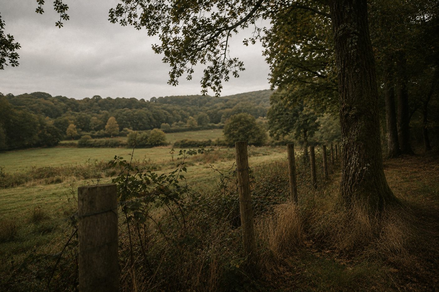 The Sussex land where Wellandgreen will be built